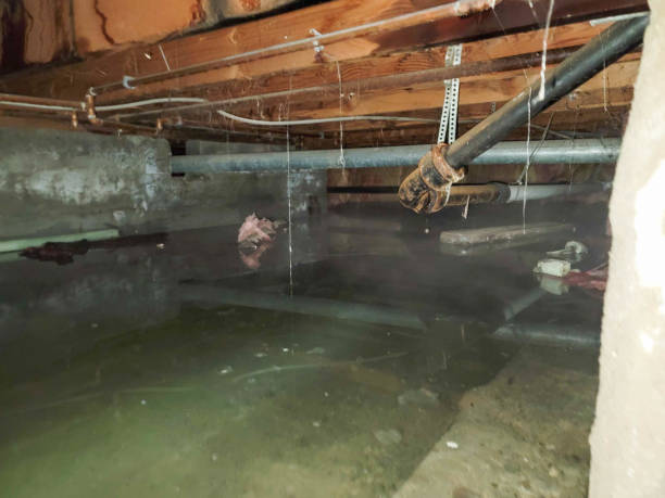 Best Water damage restoration services  in Rden, WA