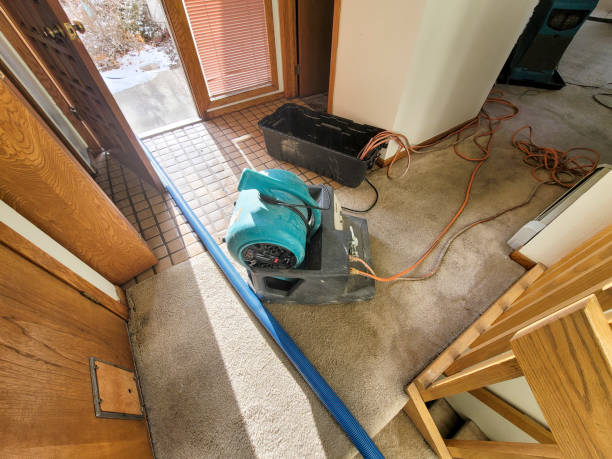 Best Sewage cleanup and water damage restoration  in Rden, WA