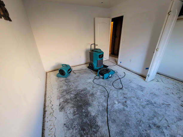 Best Flood restoration services  in Rden, WA