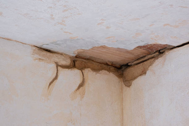 Carpet water damage restoration in WA