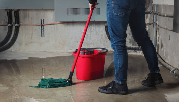 Best Local water damage restoration  in Rden, WA