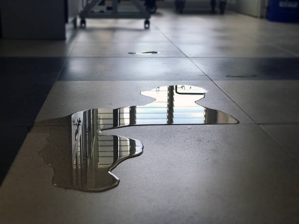 Best Water damage restoration services  in Rden, WA