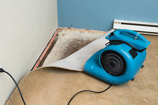 Best 24/7 water damage repair  in Rden, WA